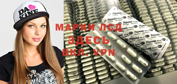 гидра Дмитров