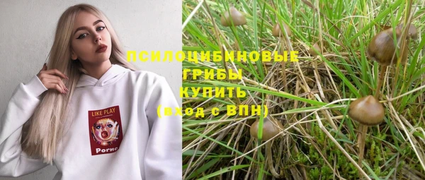 гашишное масло Дмитровск