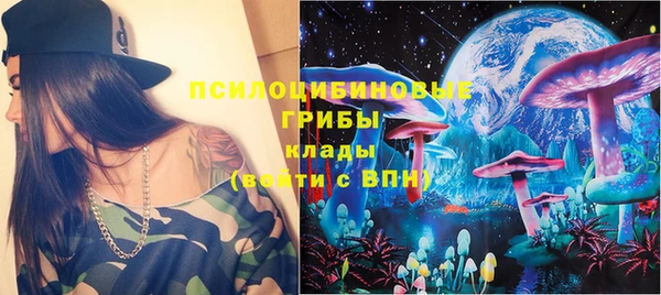 гидра Дмитров