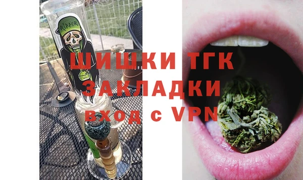 гидра Дмитров