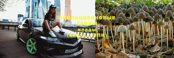 гидра Дмитров