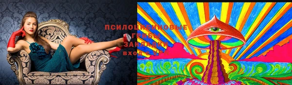 гашишное масло Дмитровск