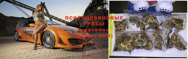 гашишное масло Дмитровск